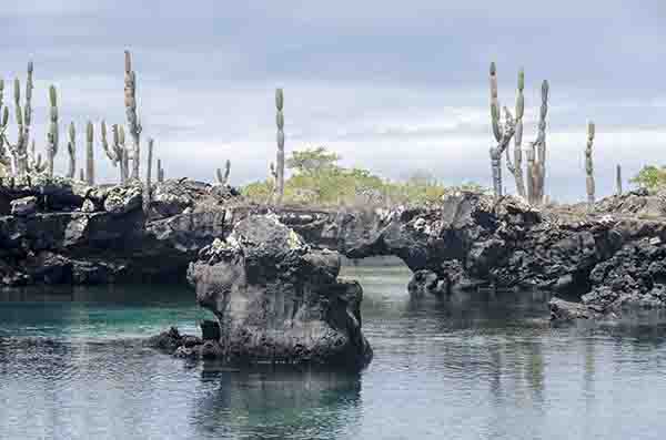 53 - Ecuador - islas Galapagos - isla Isabela - los Tuneles